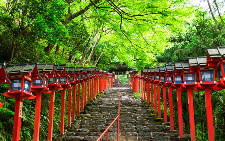 京都は新緑の貴船神社