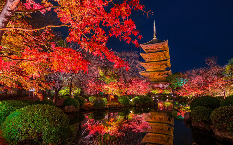 京都の東寺の紅葉