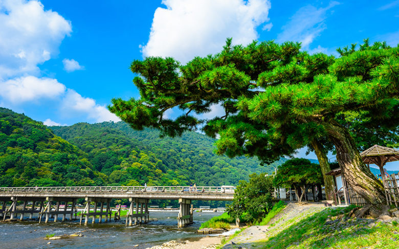 京都は嵐山の渡月橋と松_GW休業日イメージ